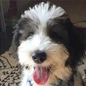 Meet your Posher, Deborah